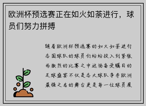 欧洲杯预选赛正在如火如荼进行,球员们努力拼搏