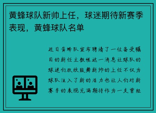 黄蜂球队新帅上任,球迷期待新赛季表现,黄蜂球队名单