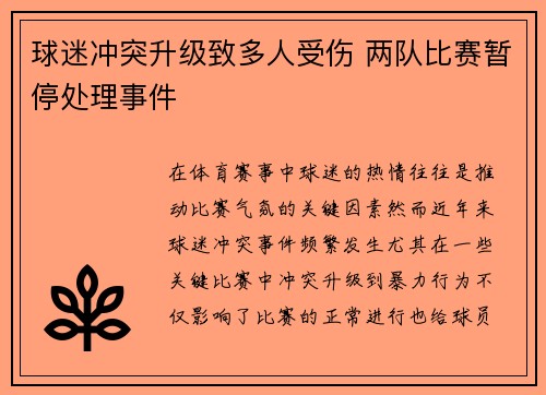球迷冲突升级致多人受伤 两队比赛暂停处理事件